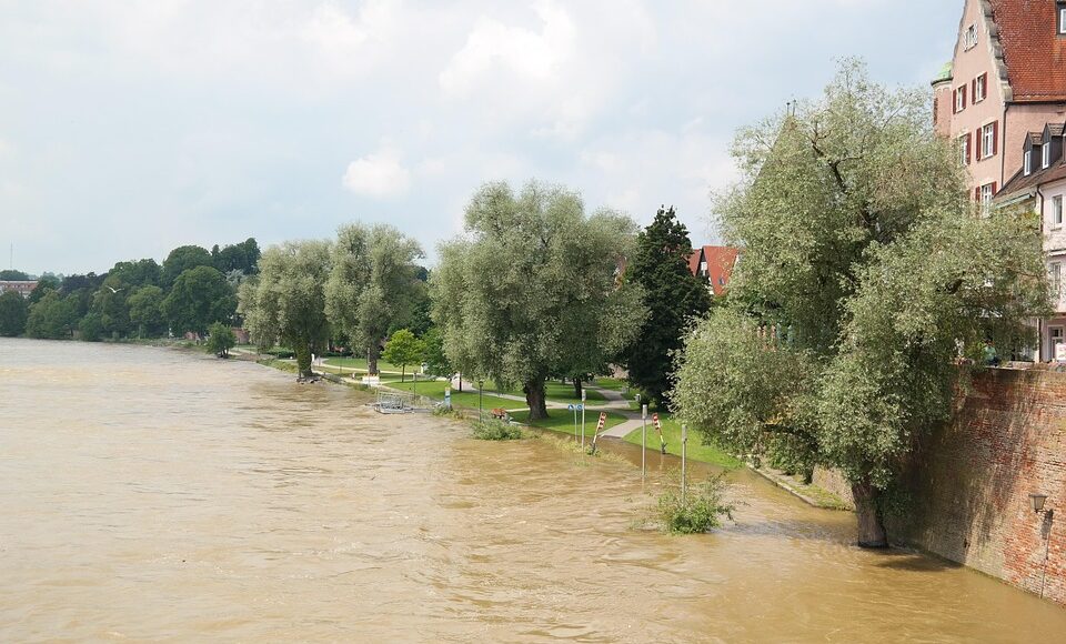 Flood damage repair