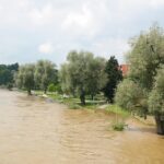 Flood damage repair